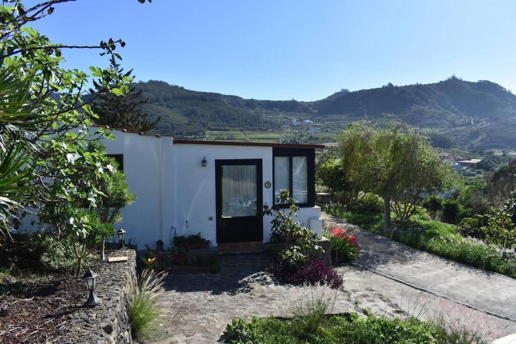 Casita De La Montana De Maria Villa Tegueste Exterior photo